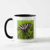 Mug Un papillon porte-queue nord-américain (Gauche)