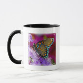 Mug Un papillon swallowtail Spicebush (Gauche)