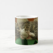 Mug Un petit chat en train de jouer (Centre)