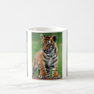 Mug Un petit tigre mignon