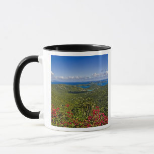 Mug Un pittoresque de Cruse Bay, Vierge des États-Unis