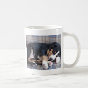 Mug un plus grand chiot suisse de chien de montagne
