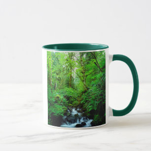 Mug Un ruisseau dans une forêt ancienne