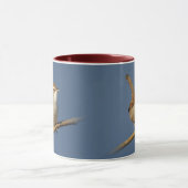 Mug Un Troglodyte de Bewick Curieux dans l'Arbre (Centre)