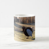 Mug Un vieil oiseau dur (Centre)