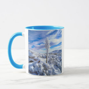 Mug Un yucca enneigé