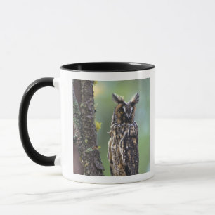 Mug Une chouette effraie perchée sur une branche d'arb