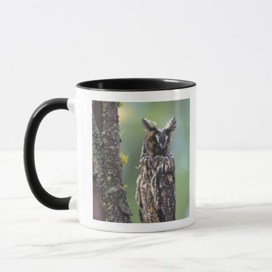 Mug Une chouette effraie perchée sur une branche d'arb (Gauche)