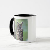 Mug Une chouette effraie perchée sur une branche d'arb (Devant gauche)