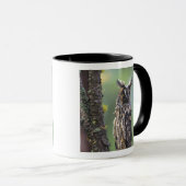 Mug Une chouette effraie perchée sur une branche d'arb (Devant droit)