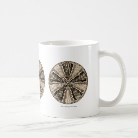 Mug Une diatomée marine (Droite)