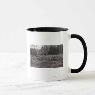Mug Une équipe de Mule au Camp Lewis