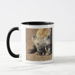 Mug Une femelle a repéré l'hyène et son petit anima