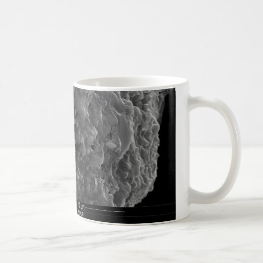 Mug Une fin vers le haut de vue d'une section (Droite)