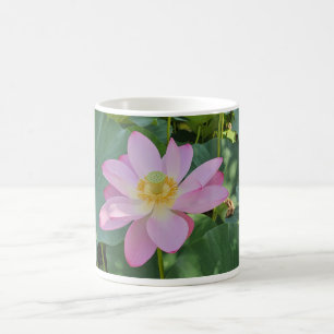 Mug Une fleur de lotus vibrante