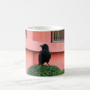 Mug Une Jungle À Gros Billages Croque Une Perche Sur U