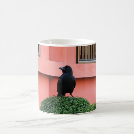Mug Une Jungle À Gros Billages Croque Une Perche Sur U (Centre)
