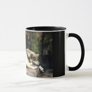 Mug Une longue journée