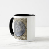 Mug Une mine terrestre simulée (Devant gauche)