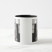 Mug Une partie du télescope spatial Hubble (Centre)