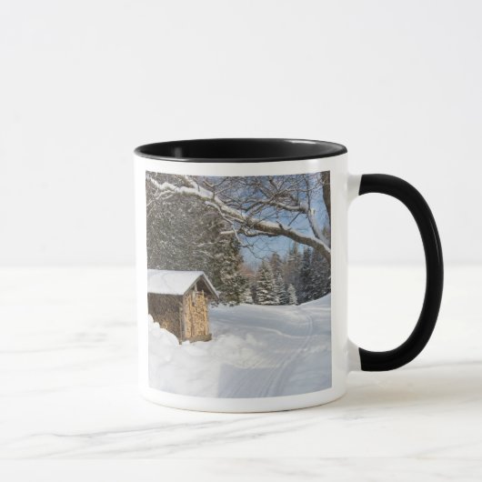 Mug Une scène enneigée à l'étang Little Lyford de l'AM (Droite)