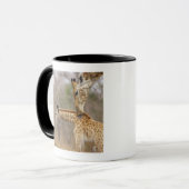 Mug Une vue de côté d'une girafe léchant ses jeunes, (Devant gauche)