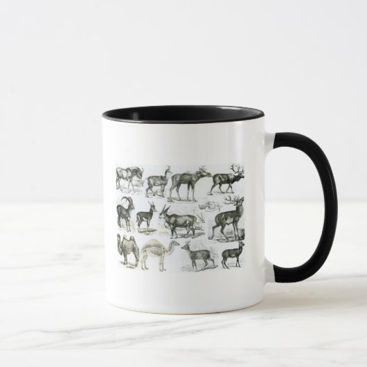 Mug Ungalata ou animaux à sabots (Droite)