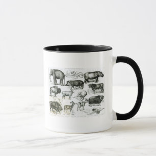 Mug Ungulata ou animaux à sabots