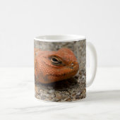 Mug Uromastyx geyri (Devant droit)