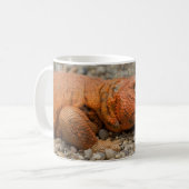 Mug Uromastyx geyri (Devant gauche)