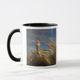 Mug Uruguay, département de Montevideo, Montevideo. 2