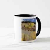 Mug USA, Colorado, Gunnison National Forest, le long (Devant droit)