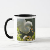 Mug USA, Floride, St Augustine, Alligator farm (Gauche)