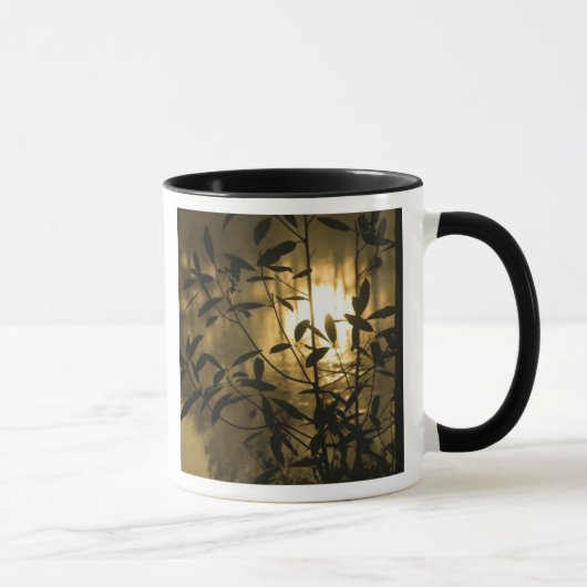 Mug USA, Géorgie, Callaway Gardens, Sunrise (Droite)
