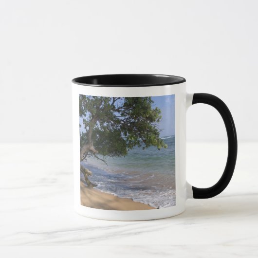 Mug USA, Hawaï, Kauai, plage pittoresque. RF) (Droite)