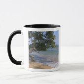 Mug USA, Hawaï, Kauai, plage pittoresque. RF) (Gauche)