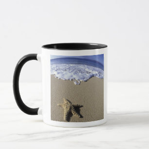 Mug USA, Hawaii, Maui, Makena Beach, Starfish et