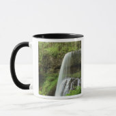 Mug USA, Oregon, Silver Falls State Park. Bas (Gauche)
