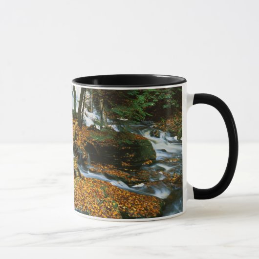 Mug USA, Pennsylvanie, Ricketts Glen State Park (Droite)