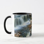 Mug USA, Pennsylvanie, Ricketts Glen State Park (Gauche)