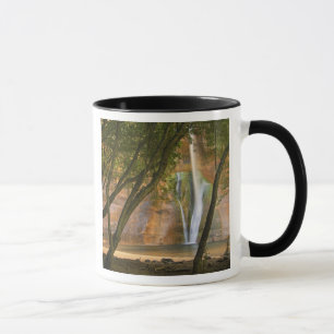 Mug USA, Utah, Escalante Wilderness. La vue sur