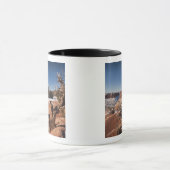 Mug USA, Utah, Moab. Parc national des Canyonlands (Centre)