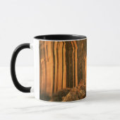 Mug USA, Utah, Parc national du Capitol Reef (Gauche)