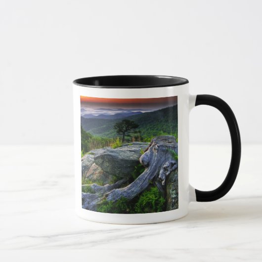 Mug USA, Virginie, Shenandoah National Park. (Droite)