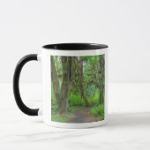 Mug USA, Washington, Olympic National Park, Hoh (Gauche)