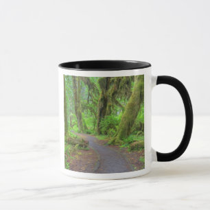 Mug USA, Washington, Olympic National Park, Hoh Rain