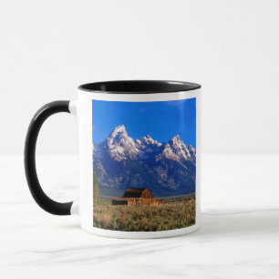 Mug USA, Wyoming, Grand Teton National Park, matin