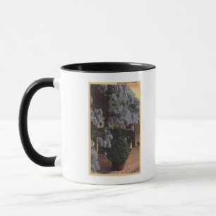 Mug Usine de CaliforniaWisteria en fleur