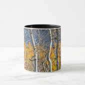 Mug Utah, États-Unis. Peupliers trembles (Populus Trem (Centre)