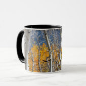 Mug Utah, États-Unis. Peupliers trembles (Populus Trem (Devant gauche)